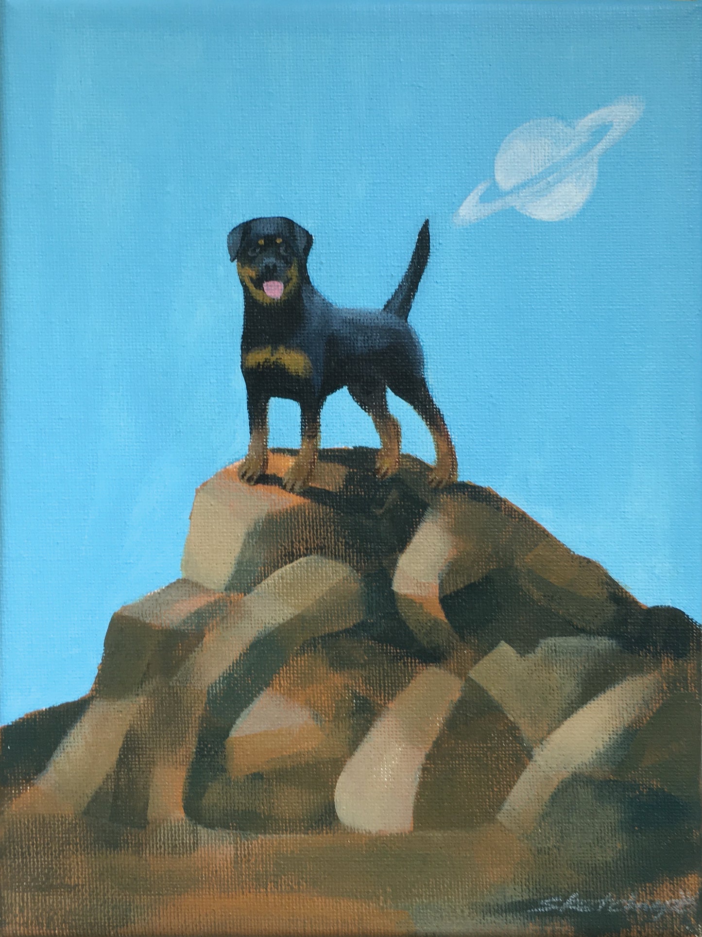 荔枝山 Rocky | Lychee Mountain Rocky