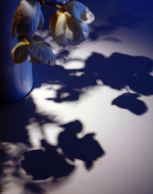 Kit Chan 攝影工作坊