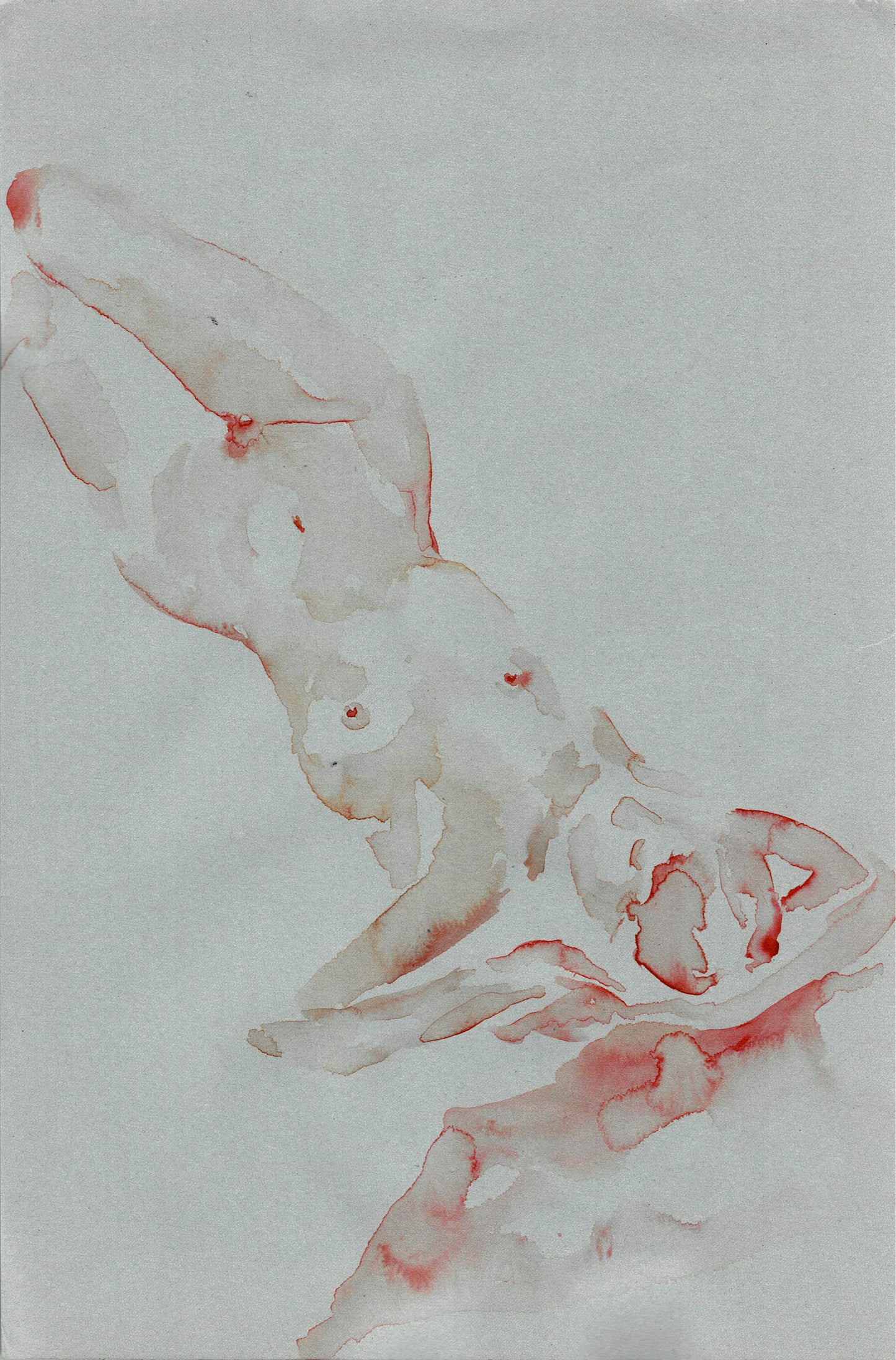 Wing M Original work -- "Female Sketch"