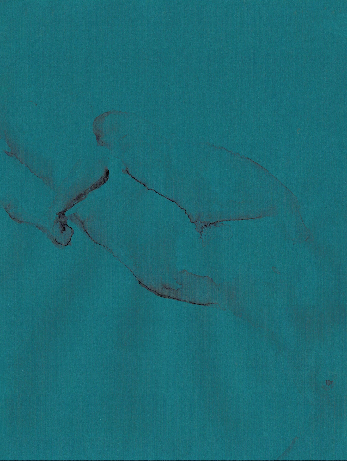 Wing M Original work -- "Female Sketch"