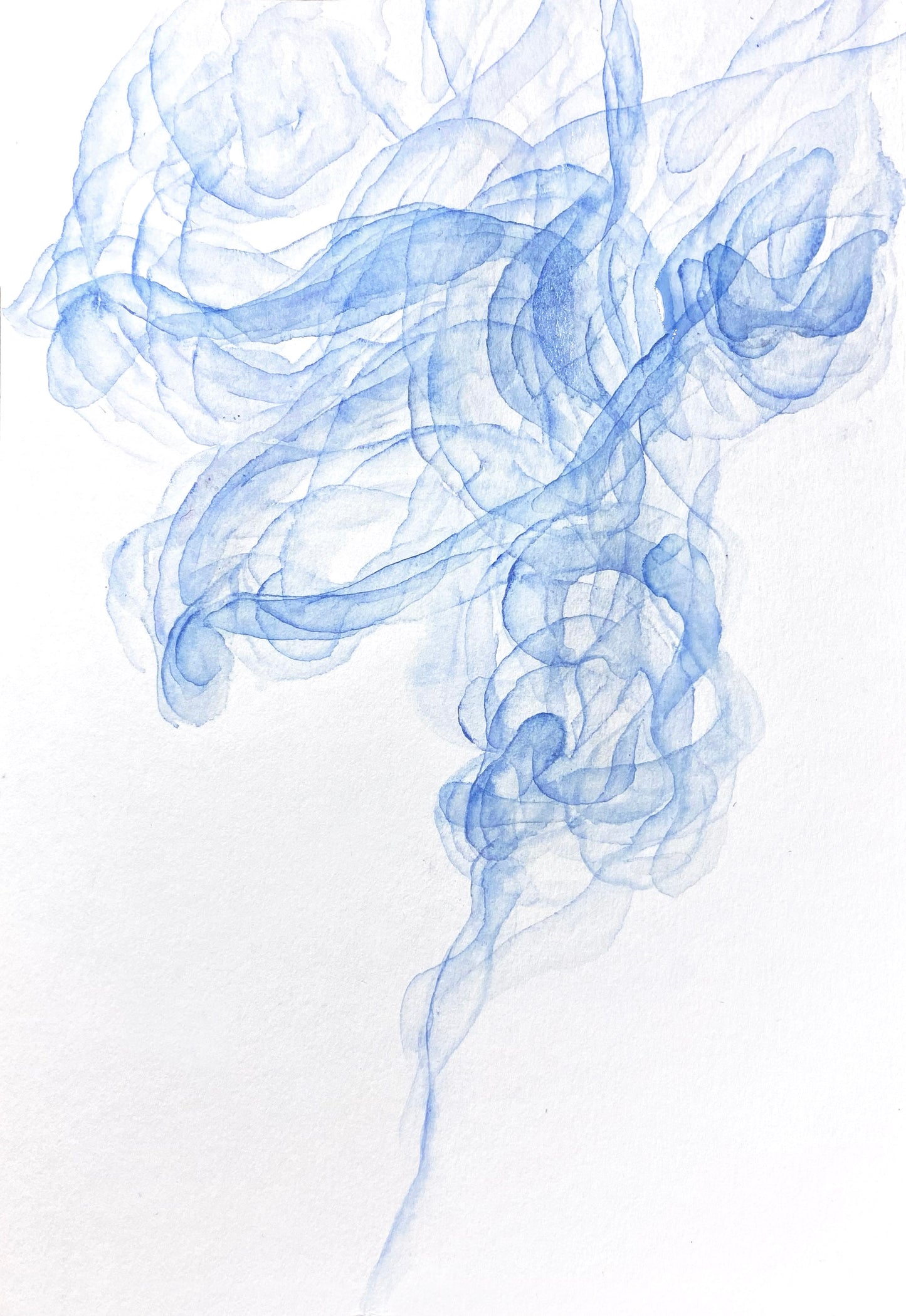 Wing M Original work -- "Female Sketch"
