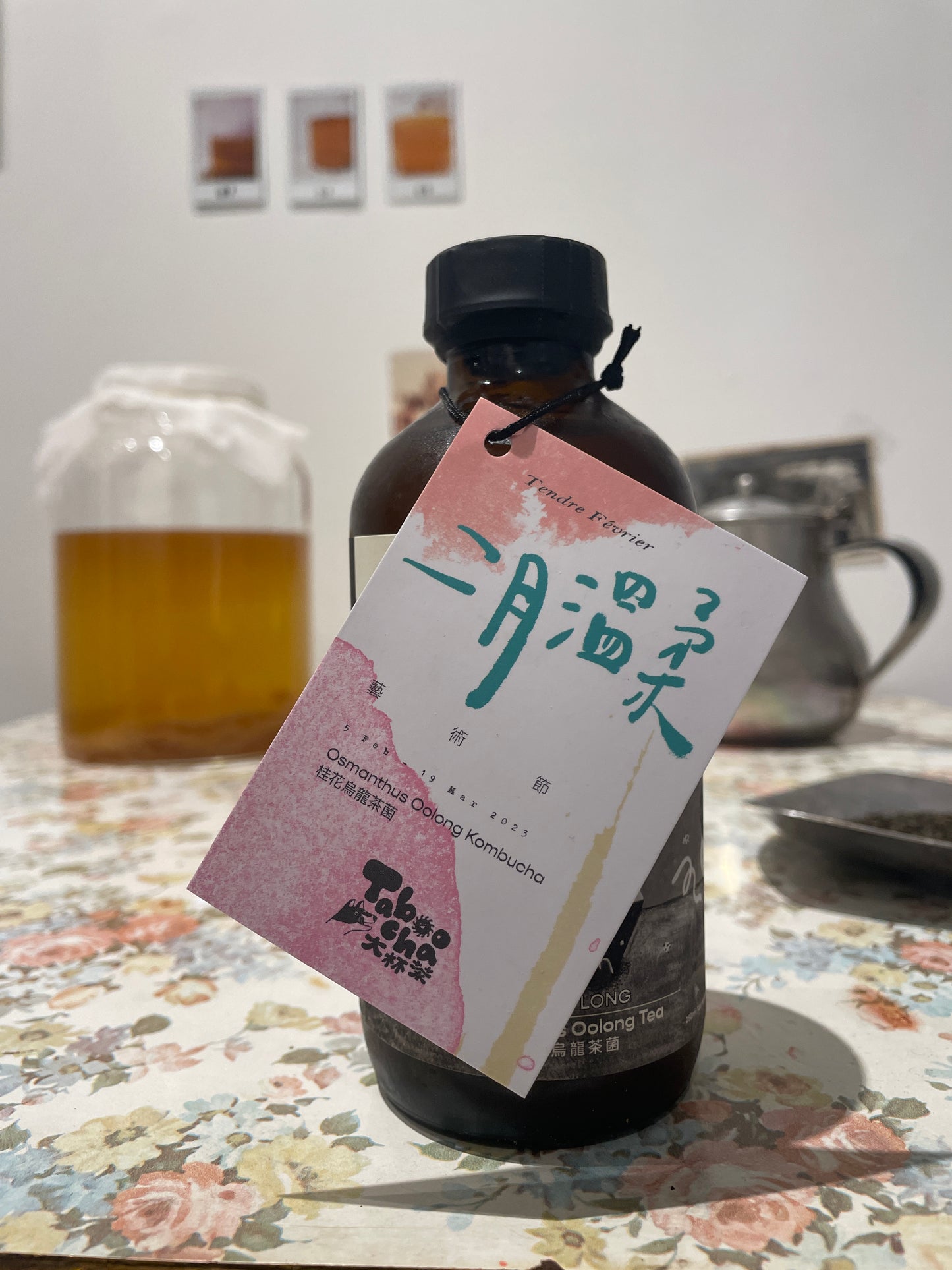 Taboocha 《桂花烏龍茶菌》