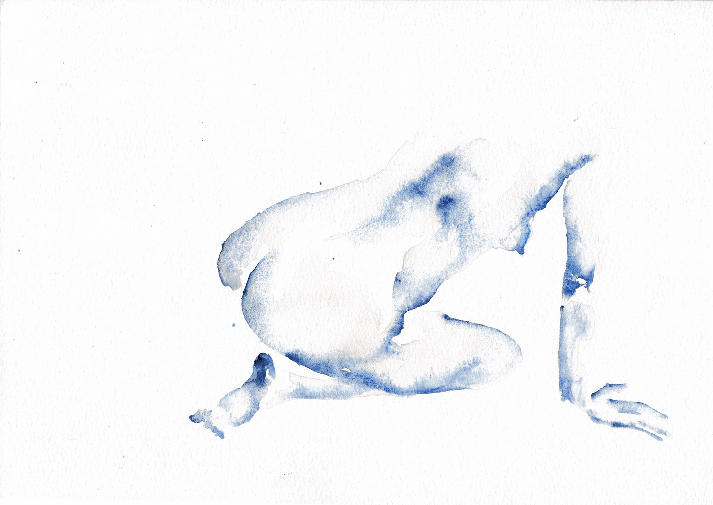 Wing M Original work -- "Female Sketch"
