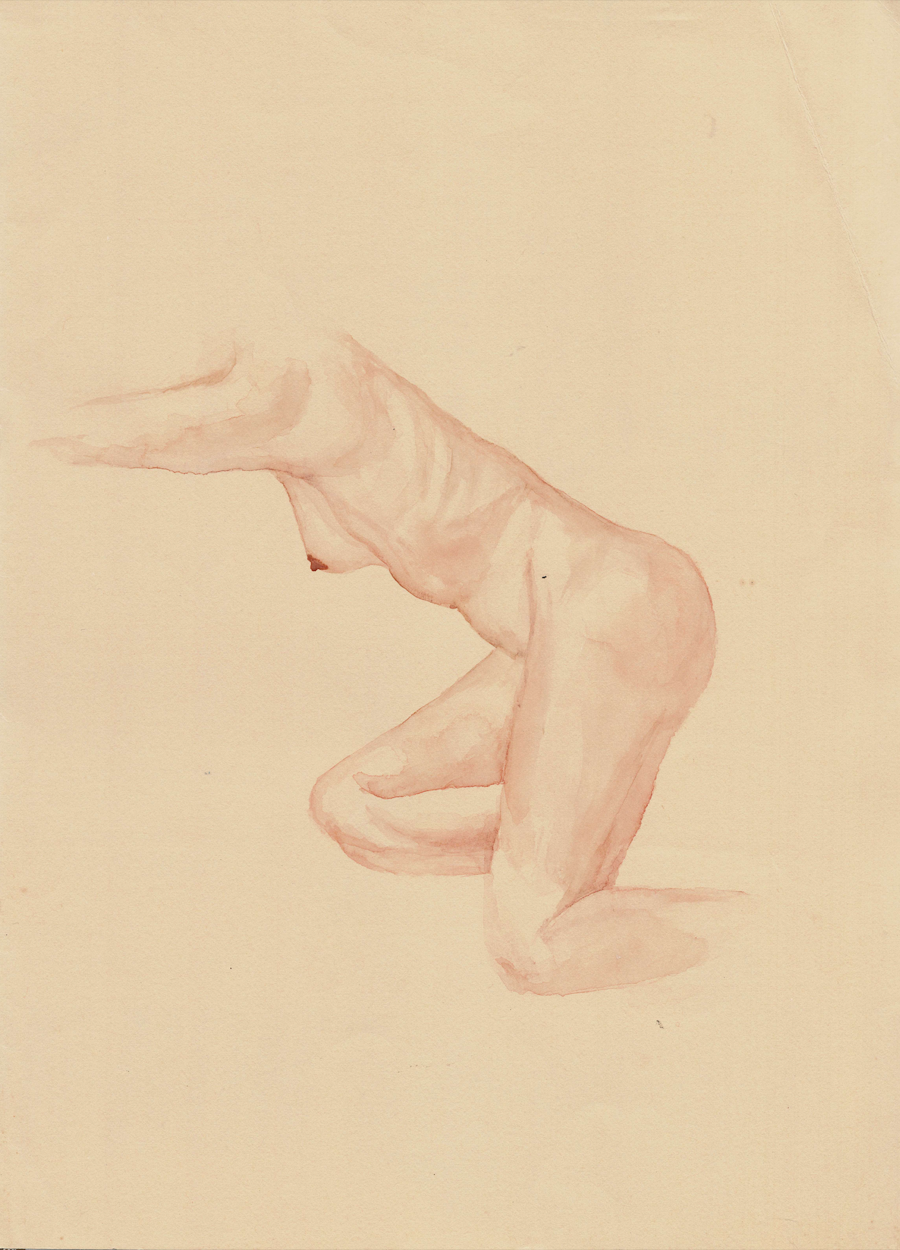 Wing M Original work -- "Female Sketch"