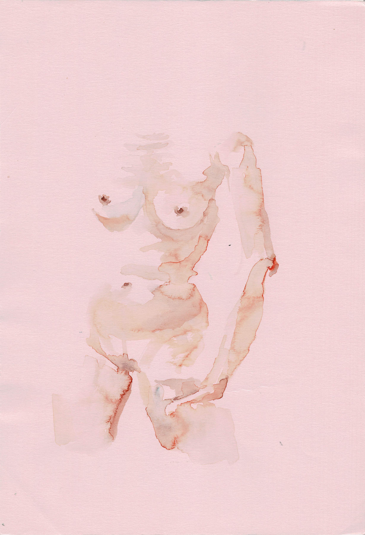 Wing M Original work -- "Female Sketch"