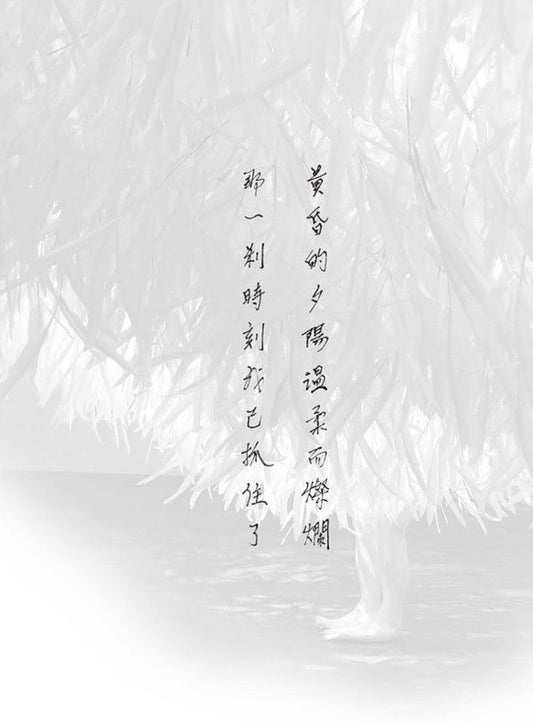《夢.路》—— 潘迪華