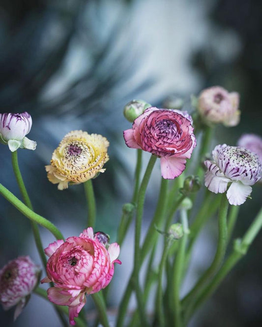 Photo by AURA Floral Design