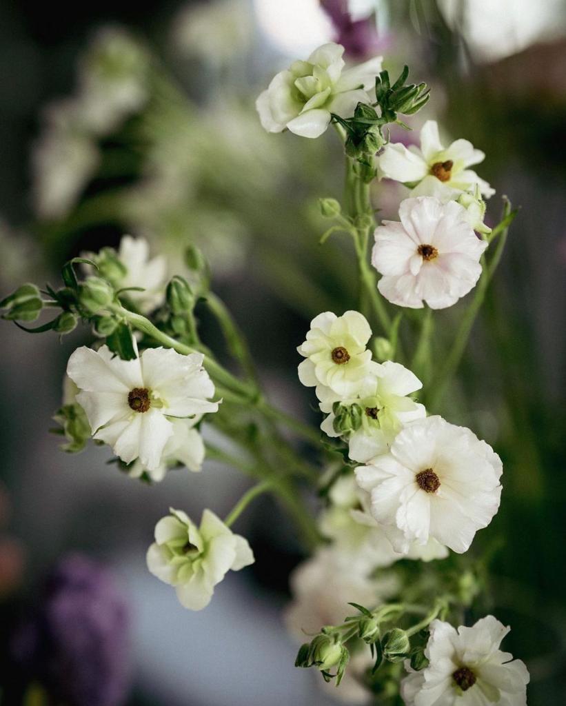 Photo by AURA Floral Design