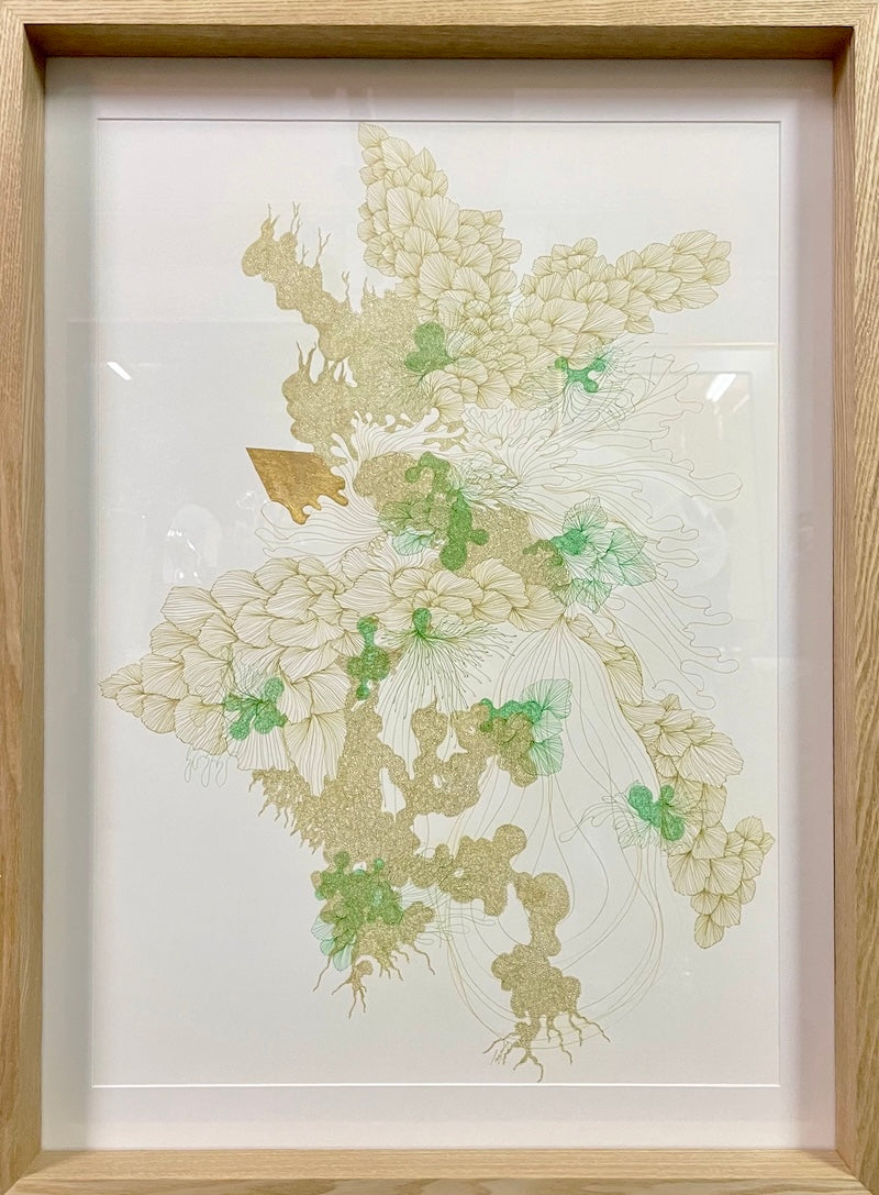 浮游 / Plankton