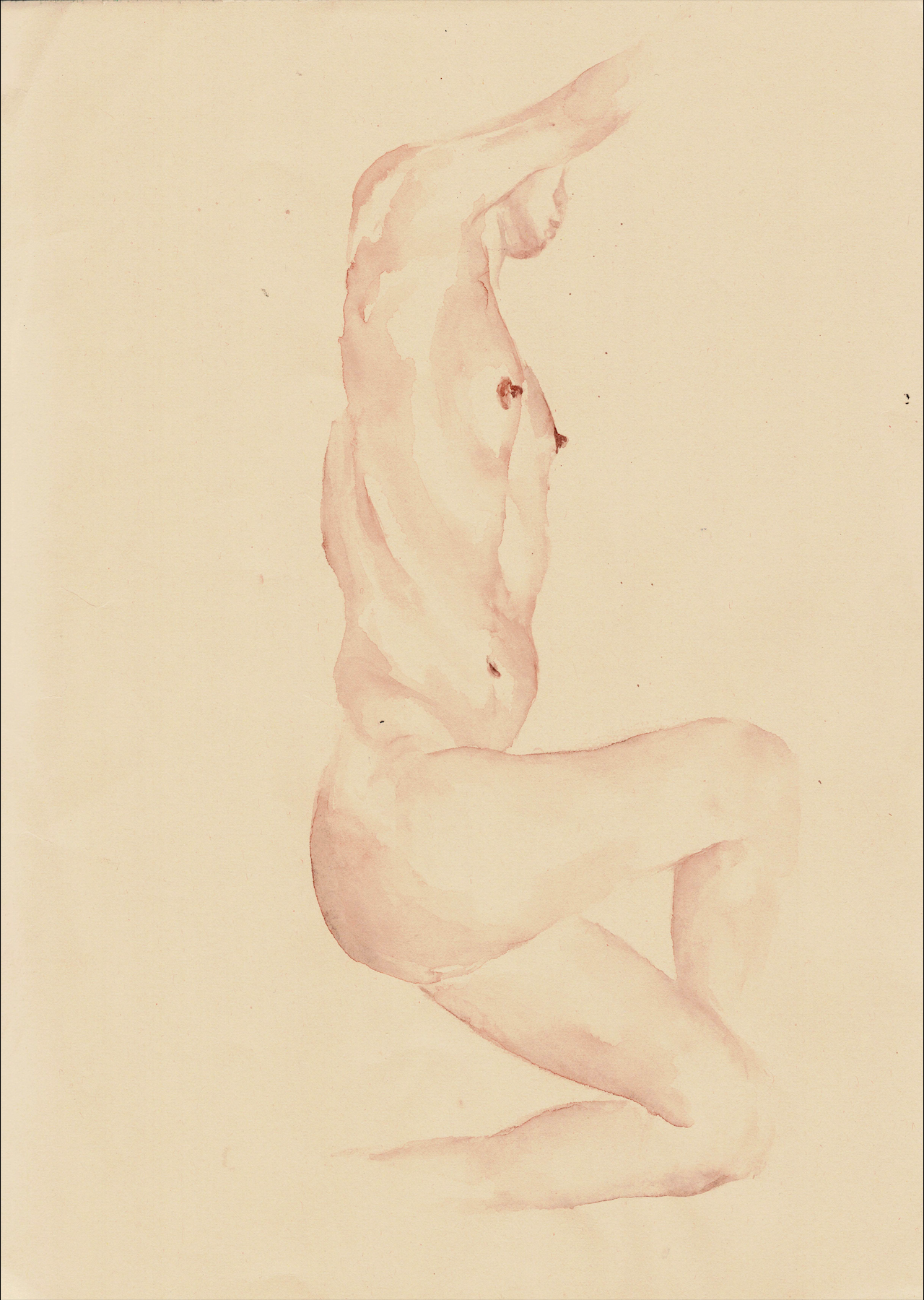 Wing M Original work -- "Female Sketch"